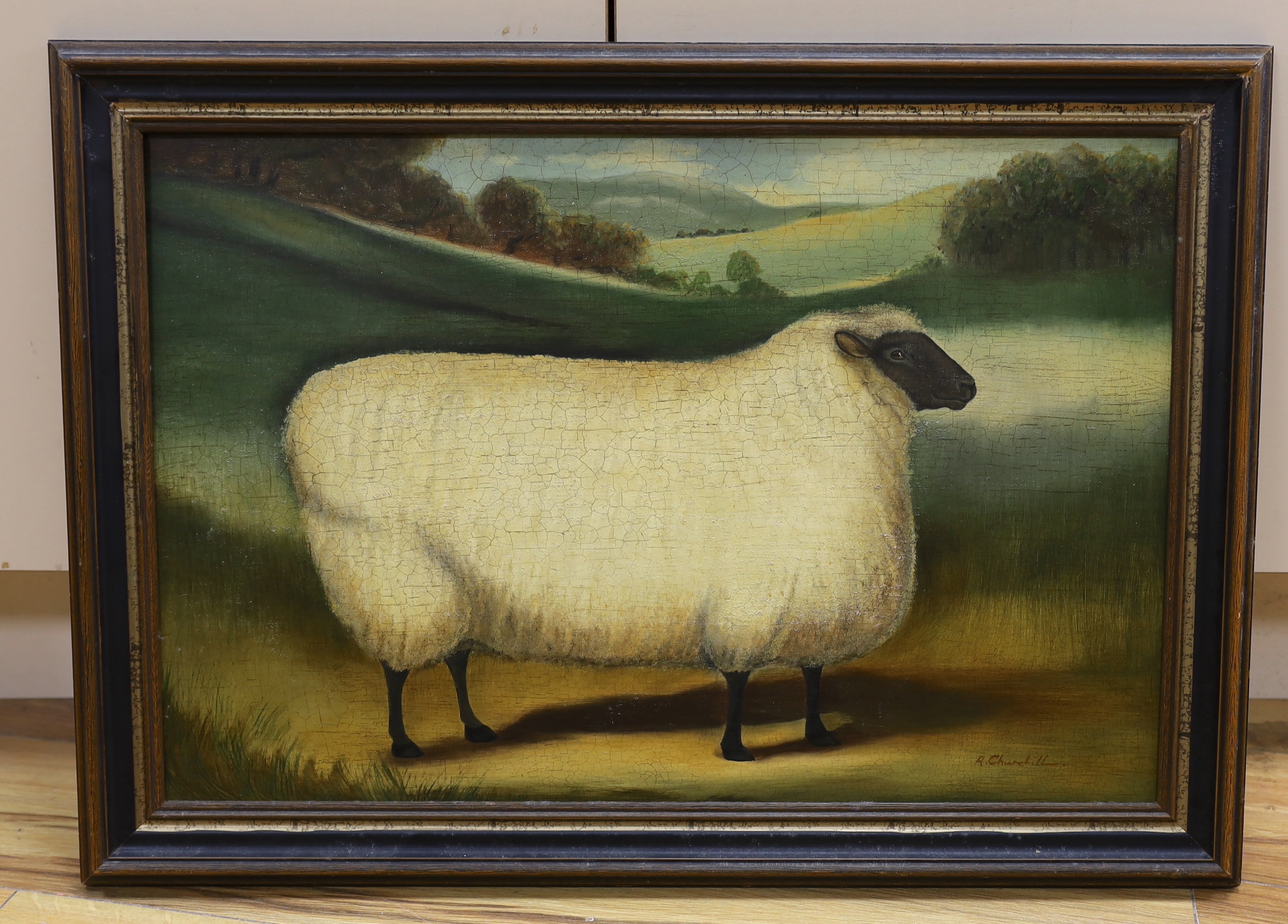 Alexandra Churchill (Contemporary), naive oil on board, 'A Cotswold sheep', signed, provenance details verso, 39 x 59cm